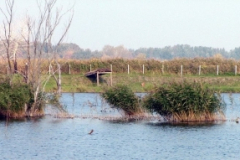 to17_20090322_1215233891