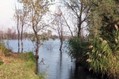 to18_20090322_1070381356