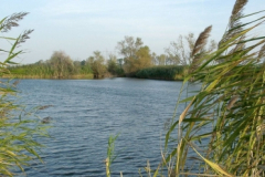 to2_20090322_1971591245