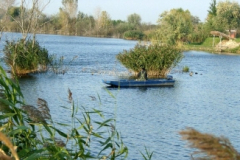 to3_20090322_1026672162