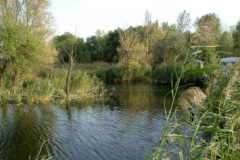 to4_20090322_1918756165