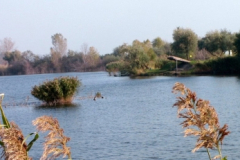 to5_20090322_1538928339