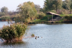 to6_20090322_1887971325