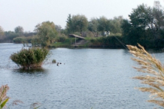 to7_20090322_1973593939