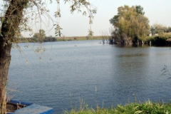 to8_20090322_1775387456