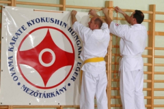20100122_1320457593_kyokushin05