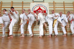 20100122_1395434962_kyokushin100