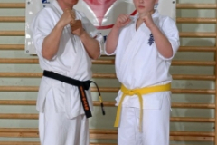 20100122_1721528213_kyokushin88