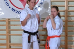20100122_1789003904_kyokushin122