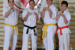20100122_1804475843_kyokushin131