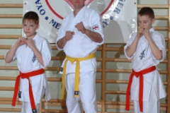20100122_1909969968_kyokushin150