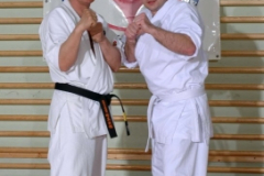 20100122_1971254040_kyokushin64