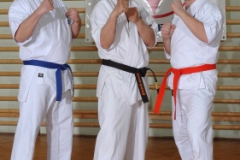 20100122_2032421169_kyokushin72