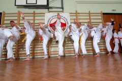 20100122_2044535492_kyokushin94