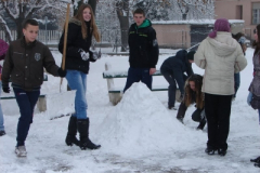 20130203_1039975706_dsc06817