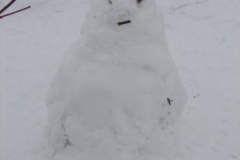 20130203_1134060438_dsc06847b
