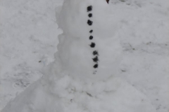 20130203_1242991470_dsc06834b