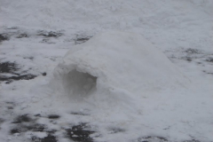 20130203_1878632125_dsc06878