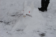 20130203_2069585418_dsc06855b